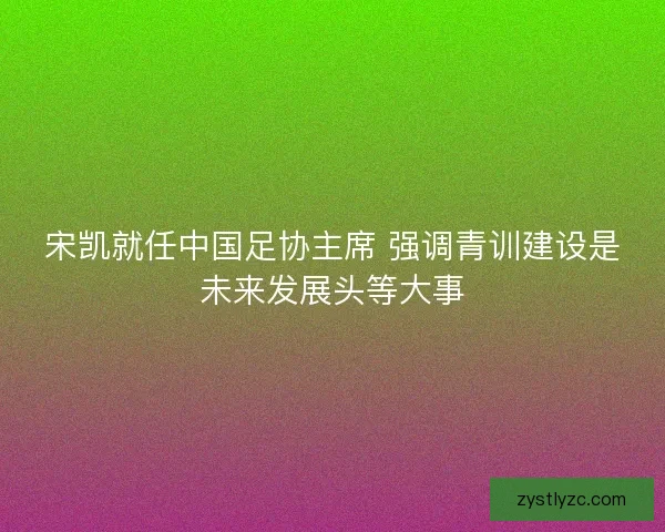 宋凯就任中国足协主席 强调青训建设是未来发展头等大事