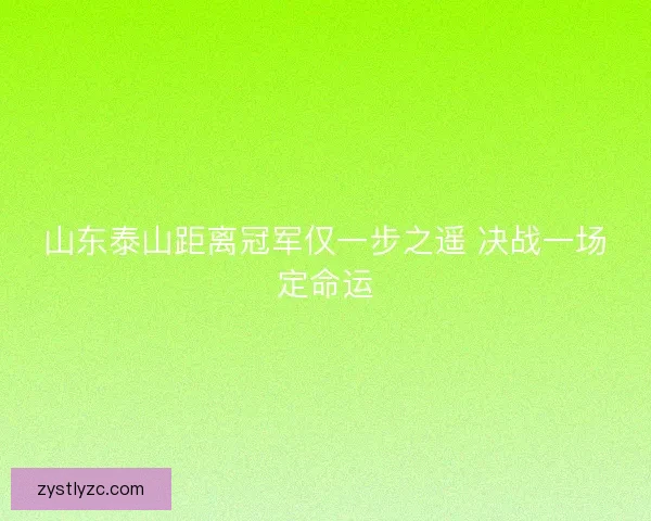 山东泰山距离冠军仅一步之遥 决战一场定命运