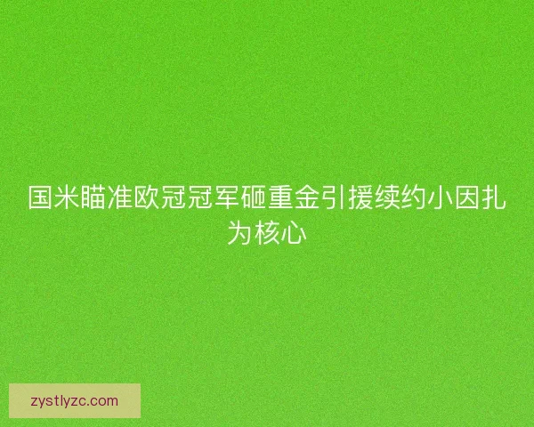 国米瞄准欧冠冠军砸重金引援续约小因扎为核心